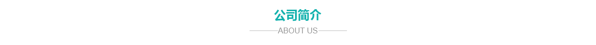 公司簡介